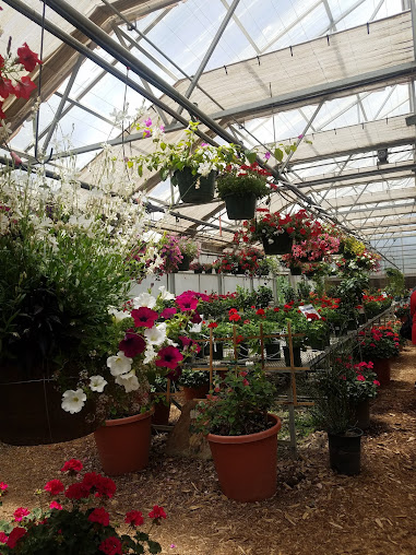 Conley's Nursery & Landscaping