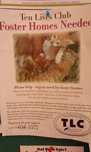 Pet Supply Store «Pet Supplies Plus», reviews and photos, 2155 Delaware Ave, Buffalo, NY 14216, USA