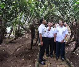 Cagar Buah Condet photo