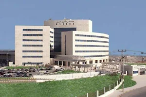 Prince Hamza Hospital image