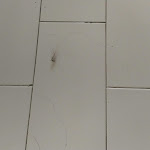 Photo n°1 de l'avis de Dmitrijs.e fait le 12/09/2018 à 01:52 sur le  Amazónia Lisboa Hotel à Lisbon