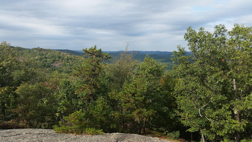 Nature Preserve «The New Weis Center for Education, Arts & Recreation», reviews and photos, 150 Snake Den Rd, Ringwood, NJ 07456, USA