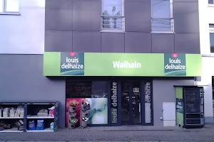 louis delhaize image