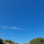 Photo n°4 de l'avis de Mark.a fait le 26/08/2023 à 20:55 sur le  TH Tirrenia Green Park Resort à Calambrone