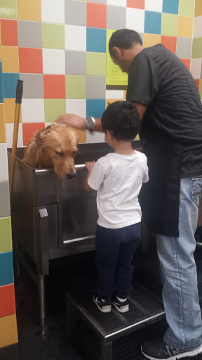 Pet Supply Store «Petco Animal Supplies», reviews and photos, 61-23 190th St, Fresh Meadows, NY 11365, USA