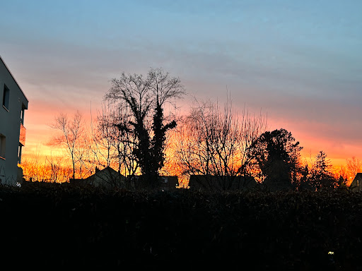 site_photo4