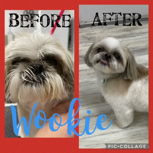 Pet Store «DipidyDawg Gourmet Dog Bakery & Boutique», reviews and photos, 21301 S Tamiami Trail Suite 430, Estero, FL 33928, USA