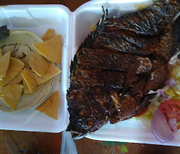 Fisheria Maranatha photo