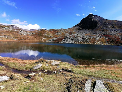 BUËCH DÉVOLUY IMMO à Veynes