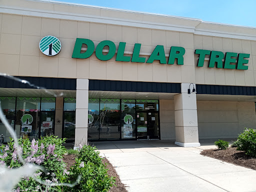 Dollar Store «Dollar Tree», reviews and photos, 3208 Kirchoff Rd, Rolling Meadows, IL 60008, USA