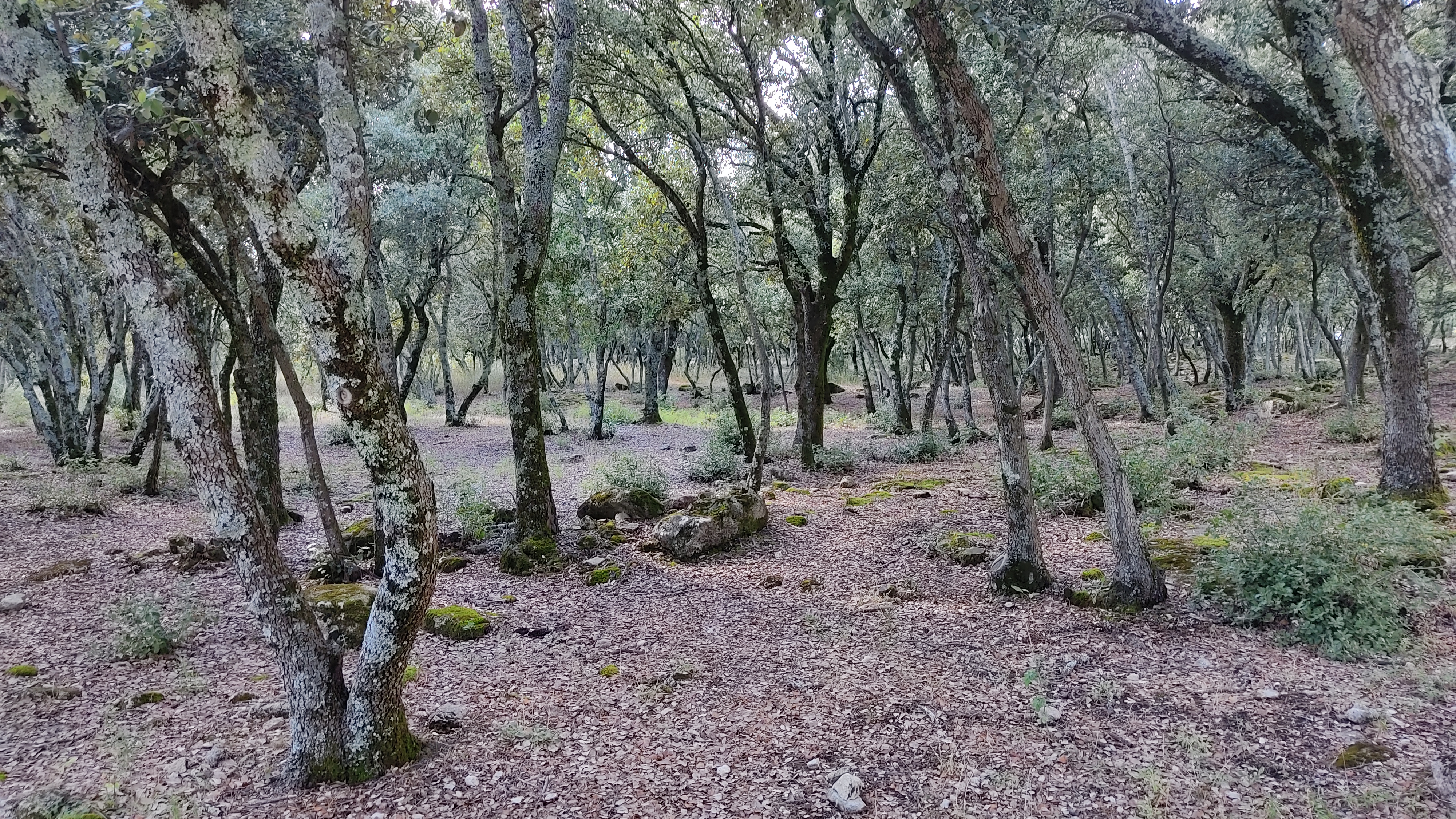 Photo n° 10 de l'avis de Sofaye.o fait le 17/09/2021 à 16:40