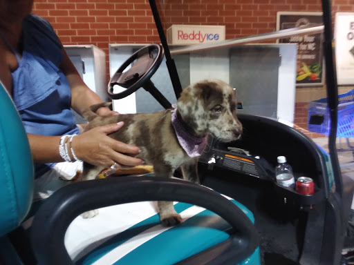 Grocery Store «Food Lion», reviews and photos, 1100 Sabbath Home Rd SW, Holden Beach, NC 28462, USA