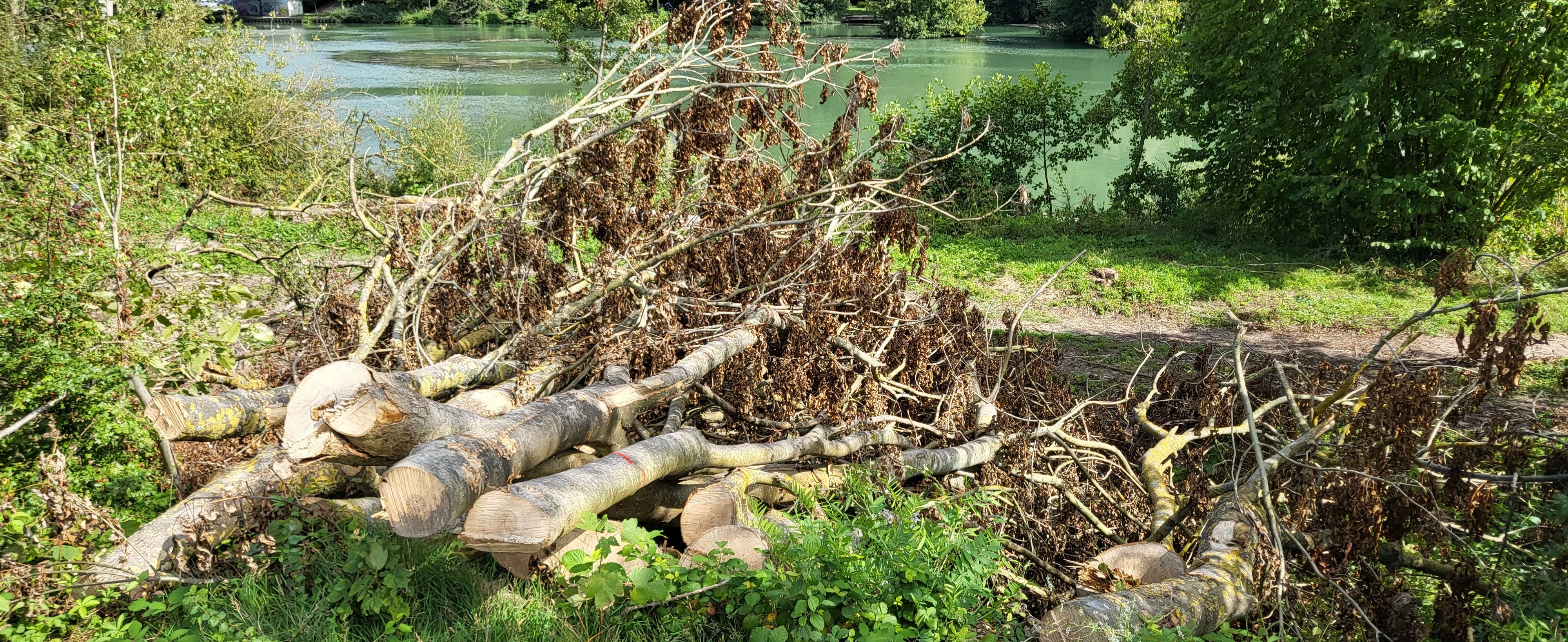 Photo n° 13 de l'avis de R. fait le 28/08/2023 à 09:54