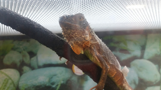 Pet Supply Store «Petco Animal Supplies», reviews and photos, 2005 Dr Martin Luther King Jr Pkwy, Chico, CA 95928, USA