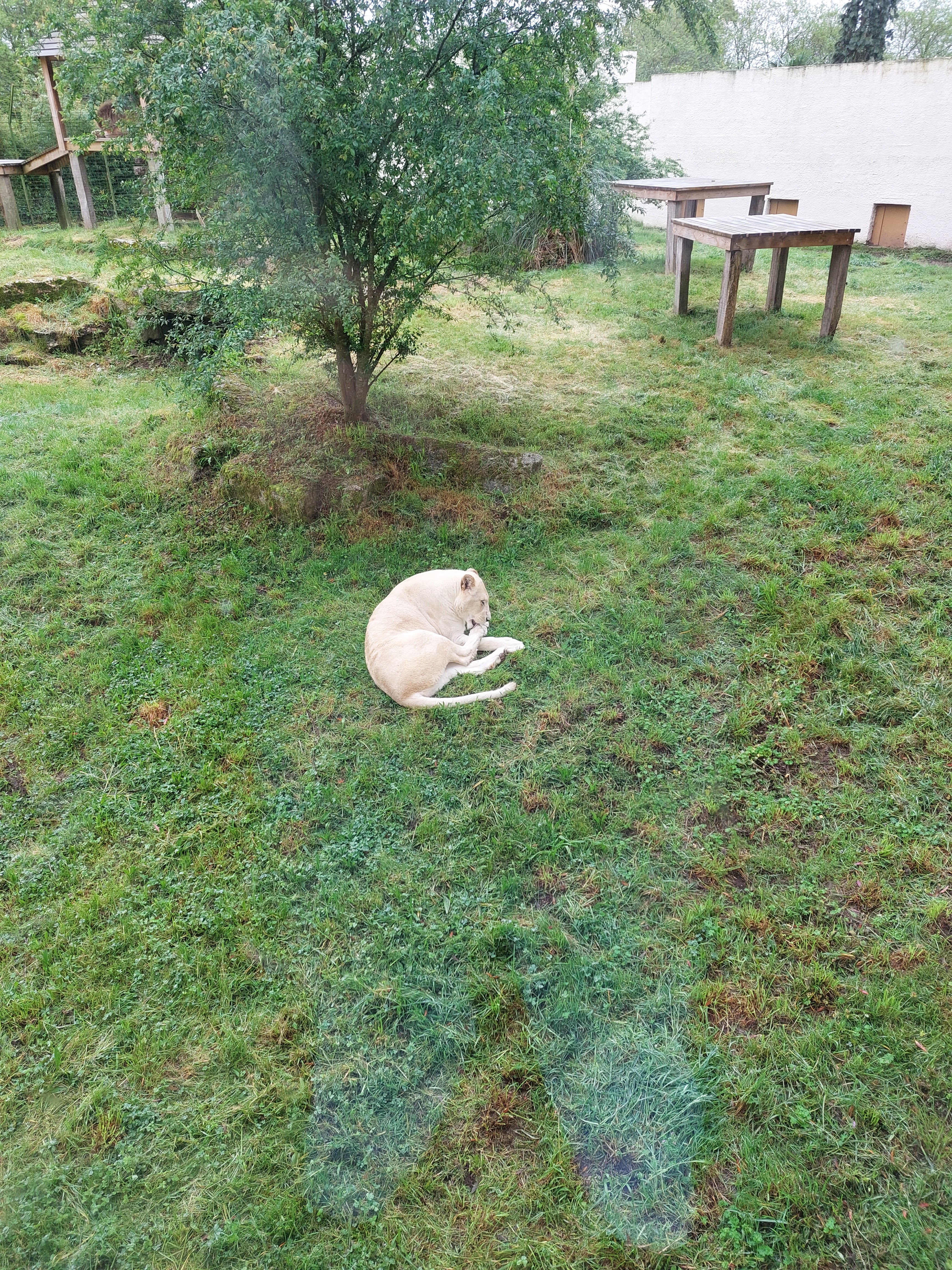 Photo n° 4 de l'avis de Bérengère.a fait le 08/05/2023 à 11:24