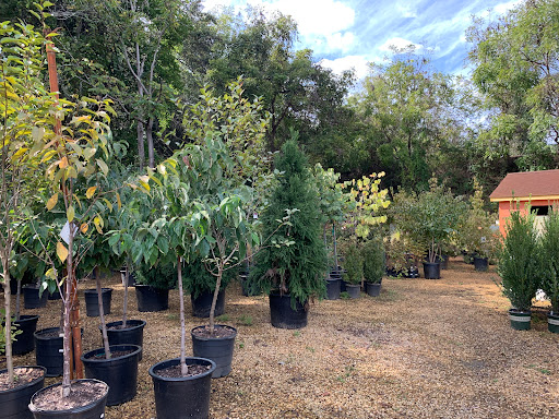 Garden Center «Ivy Corner Garden Center Gift Shop», reviews and photos, 4305 Ivy Rd, Charlottesville, VA 22903, USA