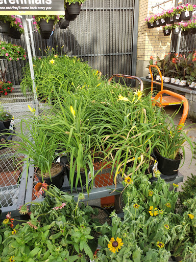 Home Improvement Store «The Home Depot», reviews and photos, 224 S Royal Oaks Blvd, Franklin, TN 37067, USA