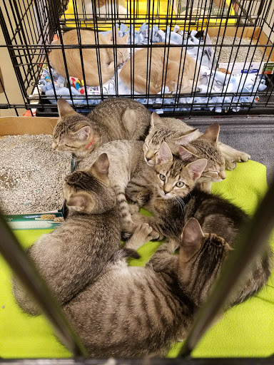 Pet Supply Store «PetSmart», reviews and photos, 11501 Metcalf Ave, Overland Park, KS 66210, USA