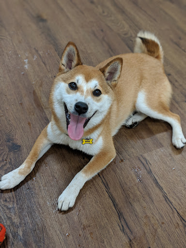 Pet Supply Store «PetPeople», reviews and photos, 3330 Washtenaw Ave, Ann Arbor, MI 48104, USA