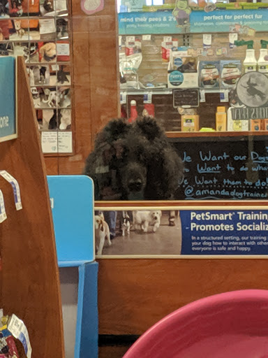 Pet Supply Store «PetSmart», reviews and photos, 1115 Vidina Pl, Oviedo, FL 32765, USA