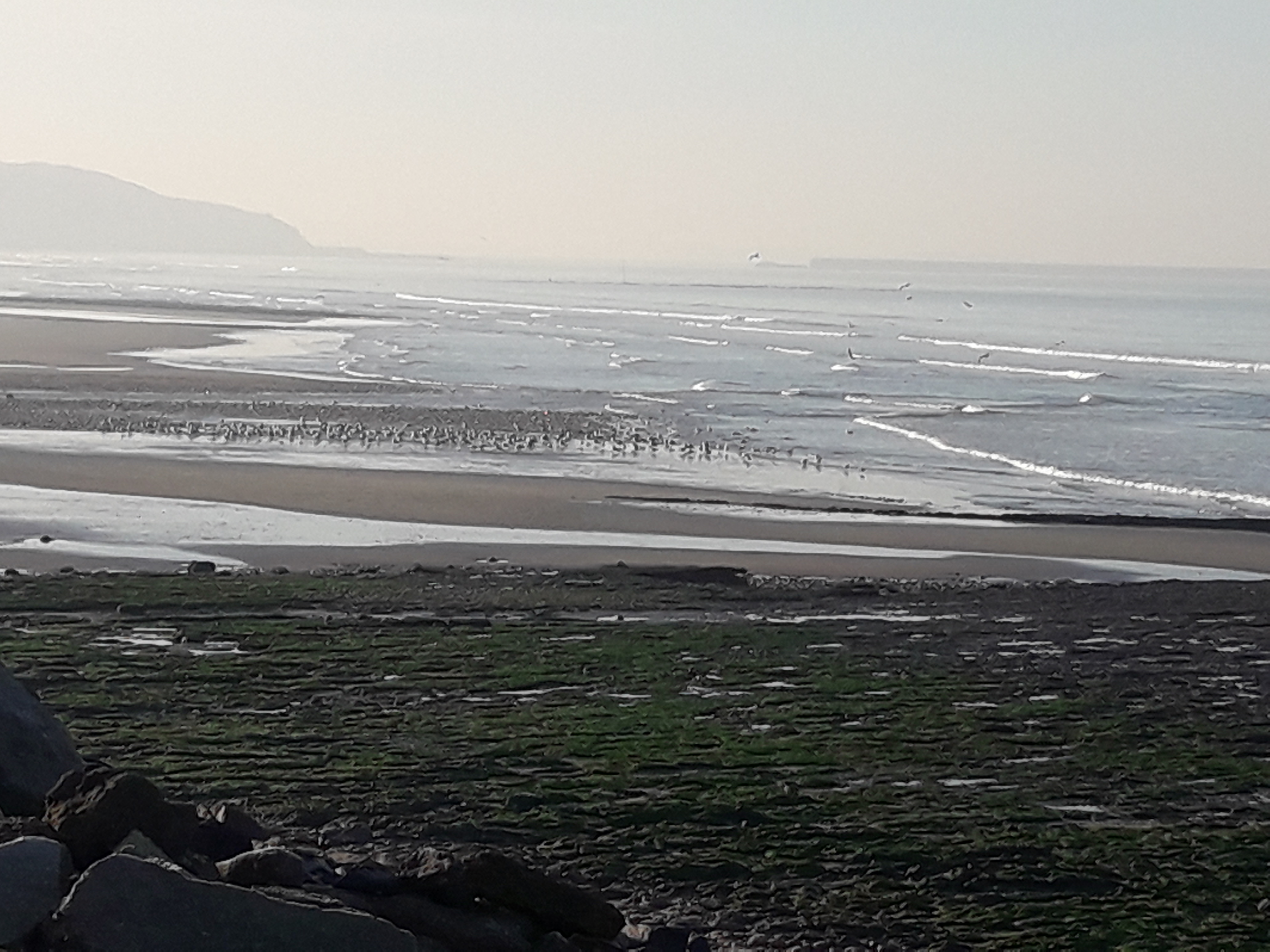 Photo n° 2 de l'avis de Amé.i fait le 21/03/2017 à 17:56