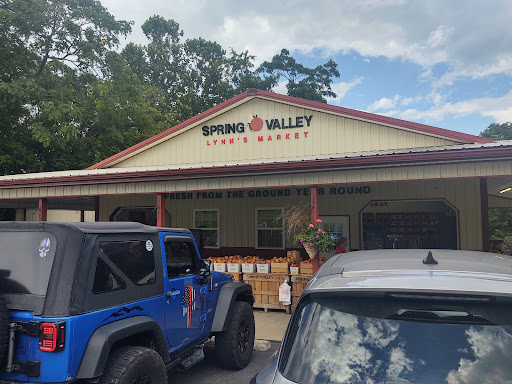 Supermarket «Spring Valley Farm Corner Market», reviews and photos, 22580 Northwestern Turnpike, Romney, WV 26757, USA