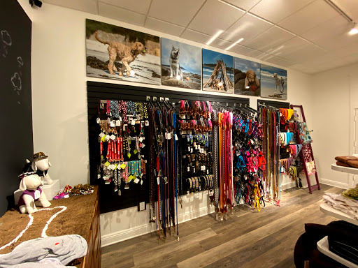 Pet Supply Store «Diggidy Dog», reviews and photos, Ocean Ave & Monte Verde St, Carmel-By-The-Sea, CA 93923, USA