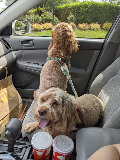 Pet Supply Store «PetSmart», reviews and photos, 7225 Bell Creek Rd Ste 228, Mechanicsville, VA 23111, USA