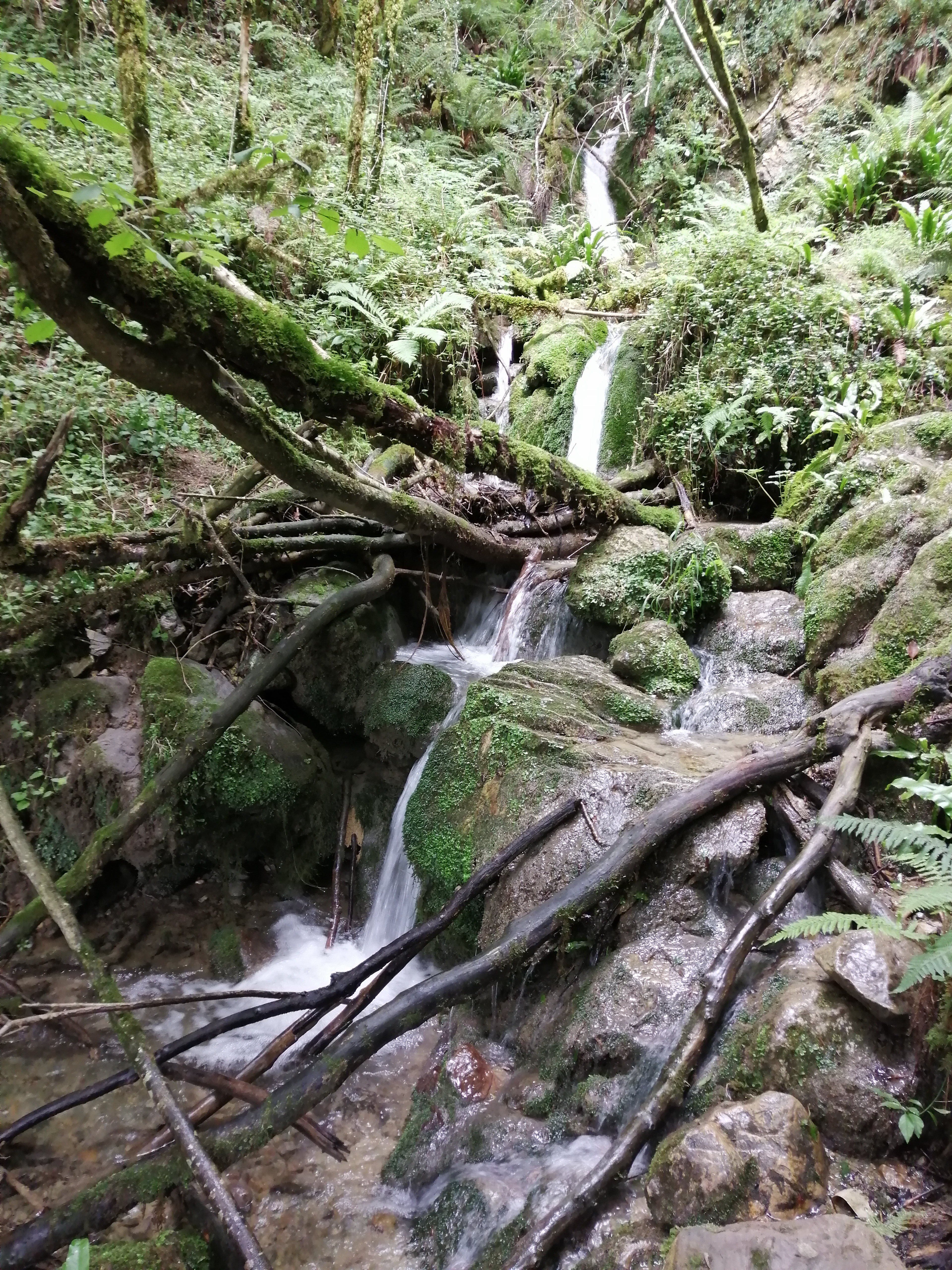 Photo n° 5 de l'avis de Nicolas.e fait le 18/07/2019 à 18:53