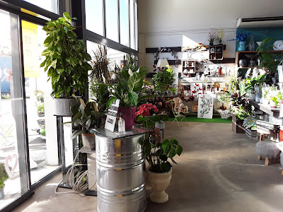 Au palais des fleurs à Bollène