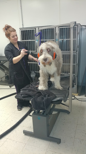 Pet Groomer «Hair Of The Dog», reviews and photos, 10850 W Laraway Rd STE 3E, Frankfort, IL 60423, USA