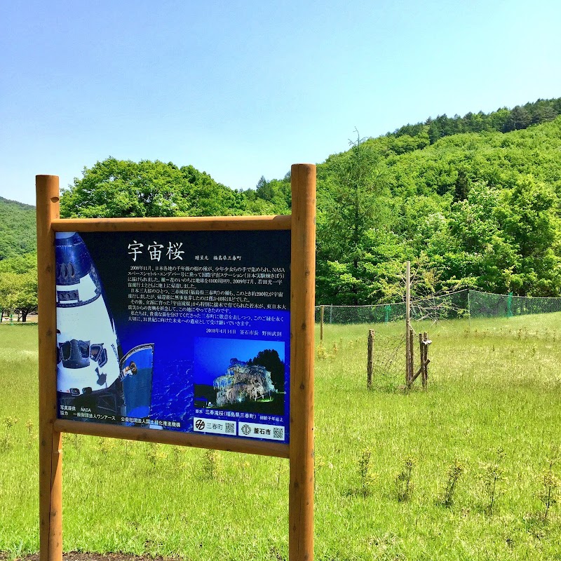 きぼうの桜（宇宙桜）・橋野鉄鉱山 憩いの広場