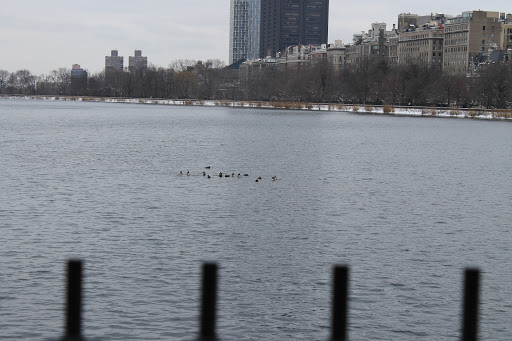 Art Museum «The Metropolitan Museum of Art», reviews and photos, 1000 5th Ave, New York, NY 10028, USA