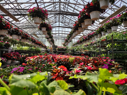 Garden Center «Westminster Nursery & Florist», reviews and photos, 30 Westminster Rd, West Hempstead, NY 11552, USA