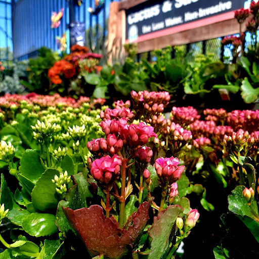 Hardware Store «DIY Center», reviews and photos, 3221 W Magnolia Blvd, Burbank, CA 91505, USA