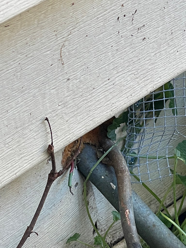 HVAC Contractor «Preferred Home Services», reviews and photos