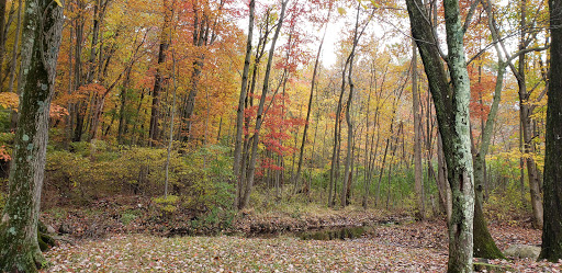 Physical Fitness Program «Franklin Lakes Community Center», reviews and photos, 1 Vichiconti Way, Franklin Lakes, NJ 07417, USA