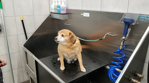 Pet Supply Store «Pet Supplies Plus», reviews and photos, 702 W Northland Ave, Appleton, WI 54914, USA