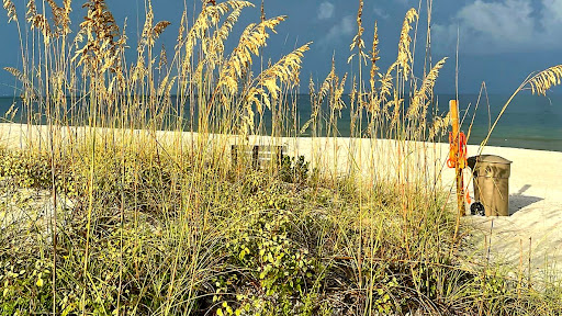 Public Beach «Pass-A-Grille Beach», reviews and photos, 113 11th Ave, Pass-A-Grille Historic District, FL 33706, USA