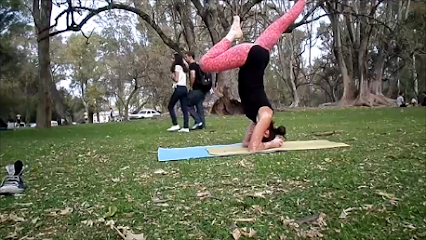 Yoga Integral-Laura Villanueva