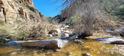 Agua Caliente Trail
