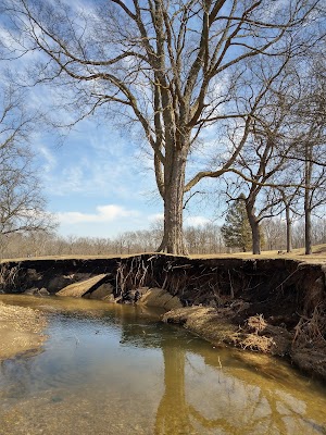 Palmer Park - photo 92