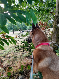 Photo n°10 de le chenil du lonlay l'abbaye à Lonlay-l'Abbaye ()