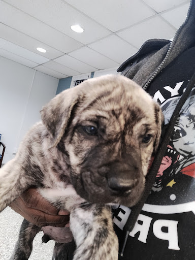 1545 US-202, Pomona, NY 10970, USA