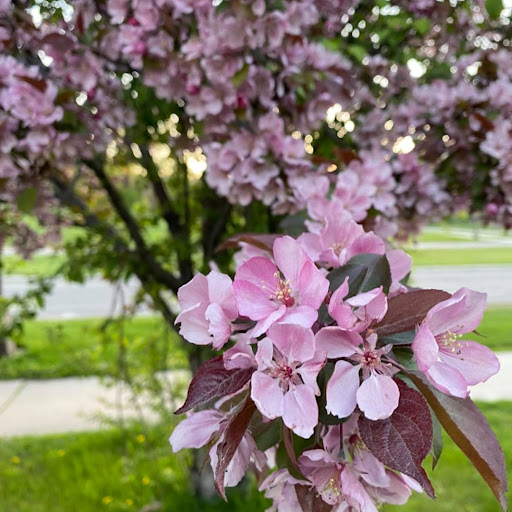 Auto Insurance Agency «State Farm: Chris Ahles», reviews and photos