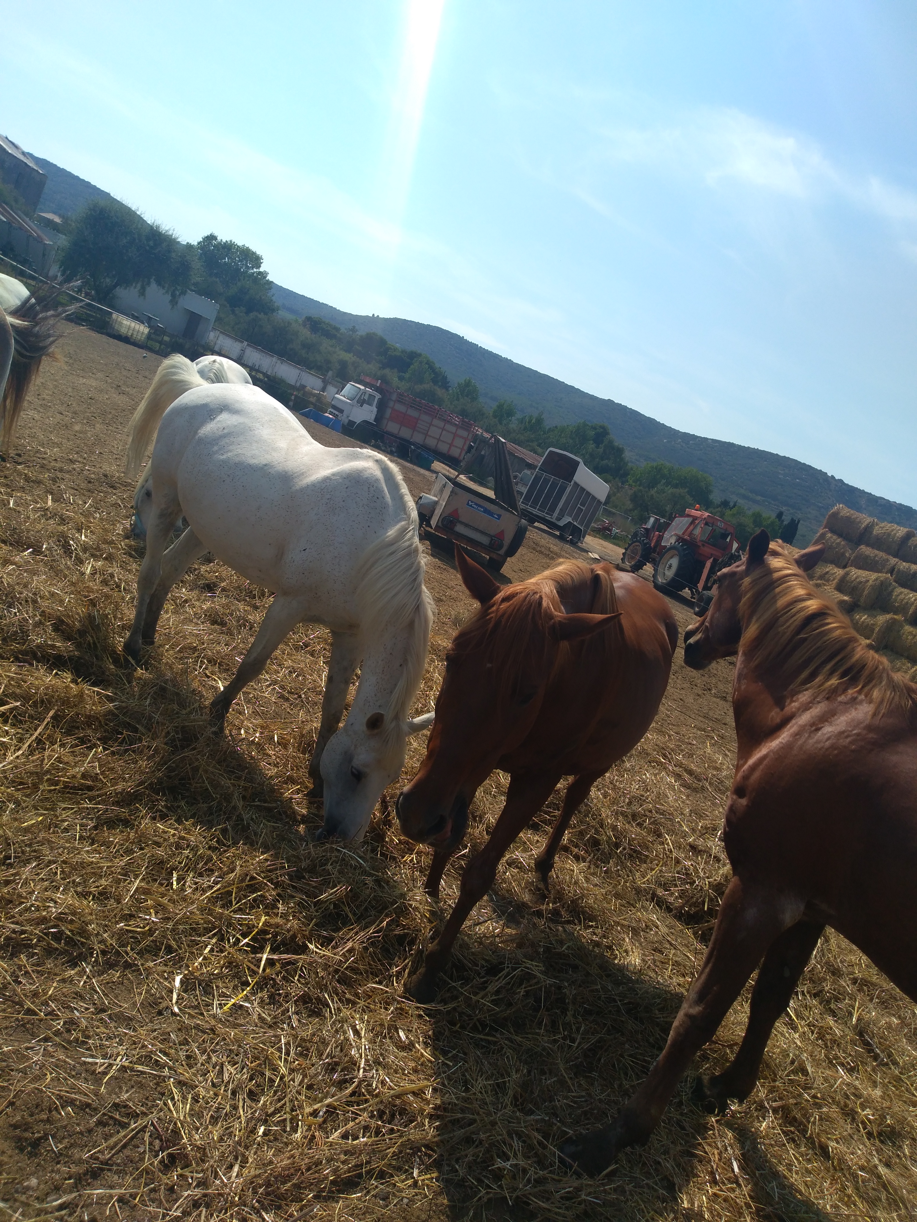 Photo n° 3 de l'avis de candice.h fait le 29/07/2018 à 20:15