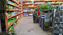 Garden Center at The Home Depot - Photo 8 - Car repair in Cerritos, CA, Norwalk