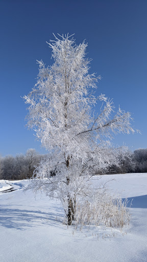 Park «Mather Woods Forest Preserve», reviews and photos, 25032 W Renwick Rd, Plainfield, IL 60544, USA