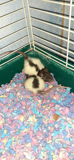 Pet Supply Store «Pets Plus - Bensalem», reviews and photos, 1336 Bristol Pike, Bensalem, PA 19020, USA