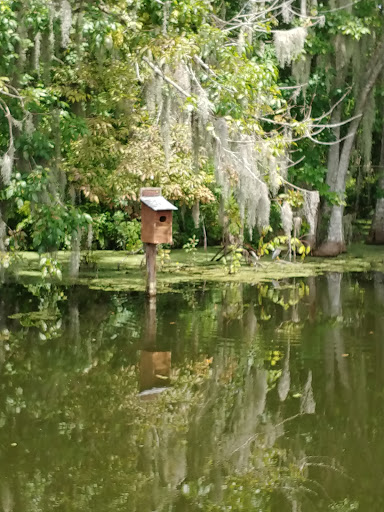 Tourist Attraction «Premier Boat Tours», reviews and photos, 100 Alexander St, Mt Dora, FL 32757, USA